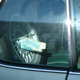 Image for article titled 1973 Buick Electra 225